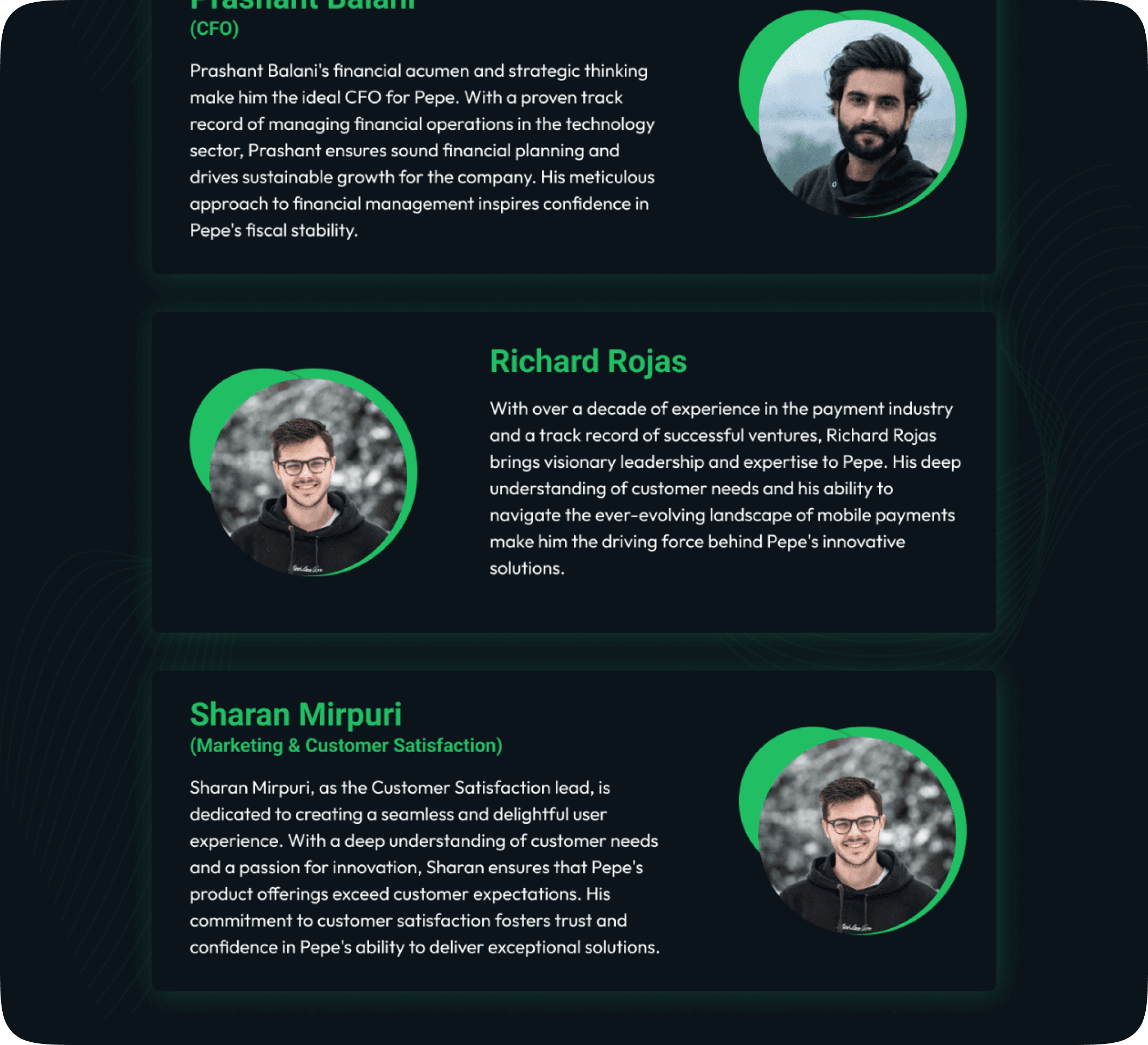 Pepe website screenshot 3
